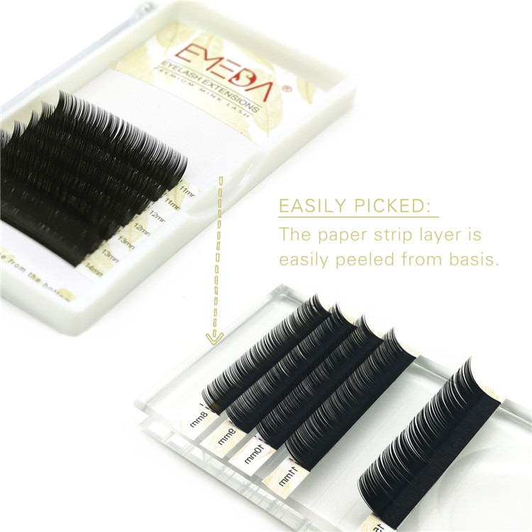 silk lashes.jpg